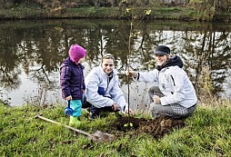 59,674 new trees for the Czech Republic thanks to ŠKODA